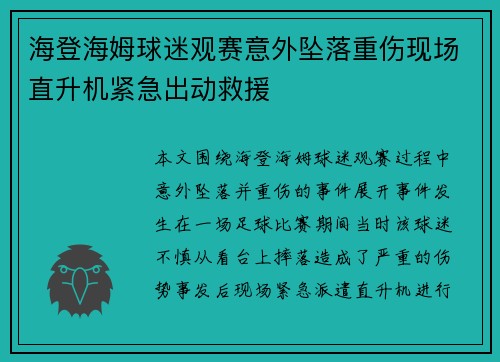 海登海姆球迷观赛意外坠落重伤现场直升机紧急出动救援